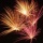 Page:bird images. Photo:BirthDay 13
